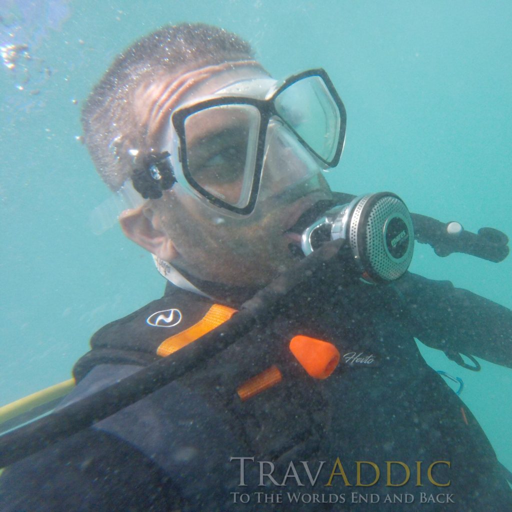 PADI Travel Review Lets Deep Dive into it 2 PADI Travel Review