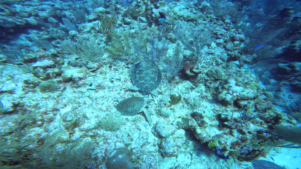 Grand Bahia Principe Coba