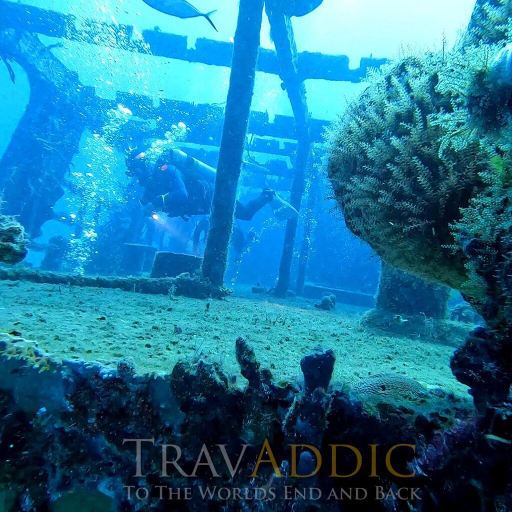 Diving Cozumel at Scuba Club Day 2 3 Diving Cozumel at Scuba Club Day 2