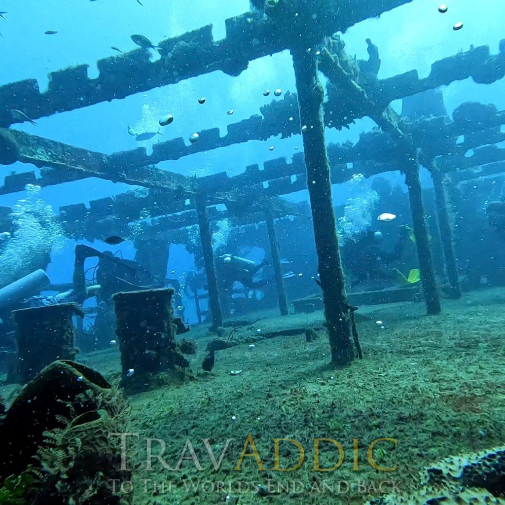 Unveiling the Best Cozumel Dive Sites for SCUBA Adventurers! 2 best Cozumel dive sites