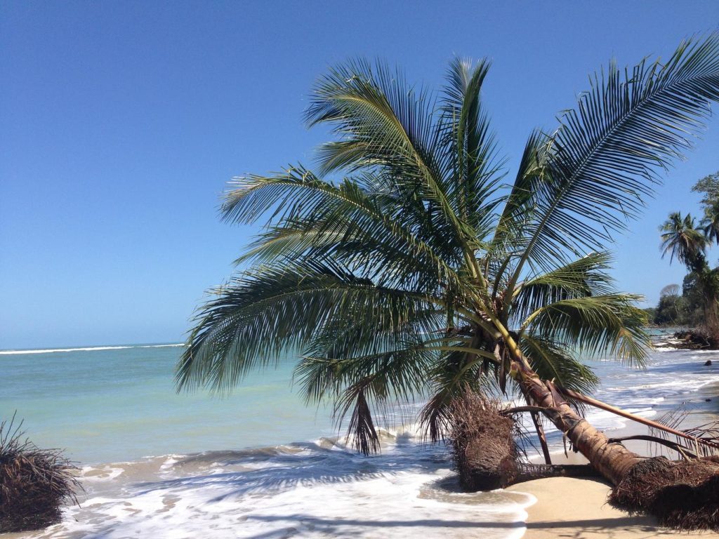 Is It Safe to Travel to Costa Rica Right Now? A Humorous Deep Dive into Pura Vida Paradise Safety! 3 is it safe to travel to costa rica right now