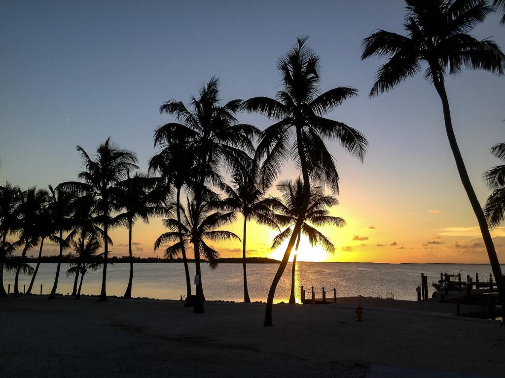 Scuba Diving Key Largo