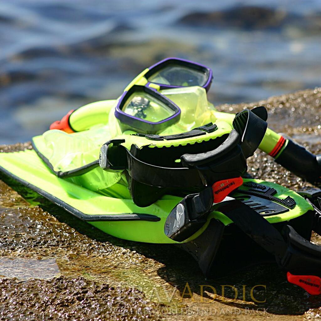 Snorkeling Escapade in Marathon, Florida 2 snorkeling in marathon florida